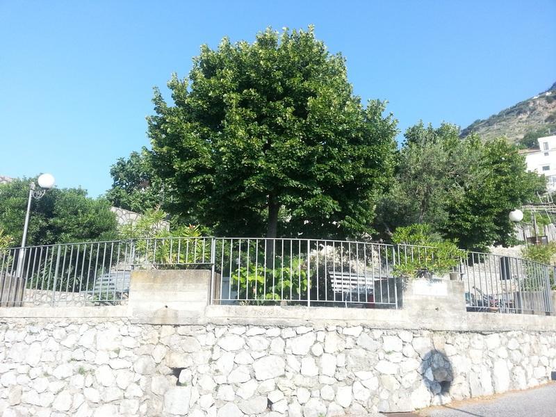Villa Il Fienile à Conca dei Marini Extérieur photo